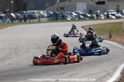 DSC_0323 (5)